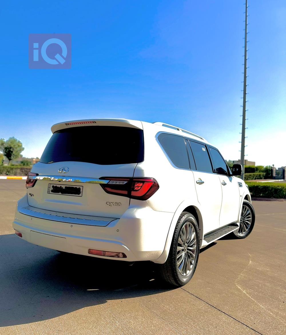 انفنتي QX80